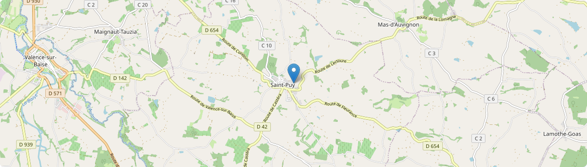 Saint-Puy - Carte