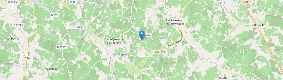 Saint-Quentin-de-Caplong - Carte
