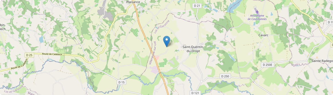 Saint-Quentin-du-Dropt - Carte