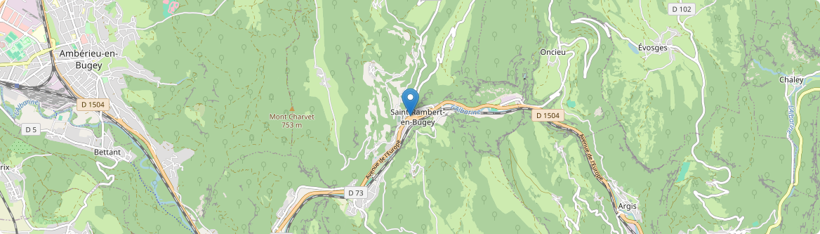 Saint-Rambert-en-Bugey - Carte