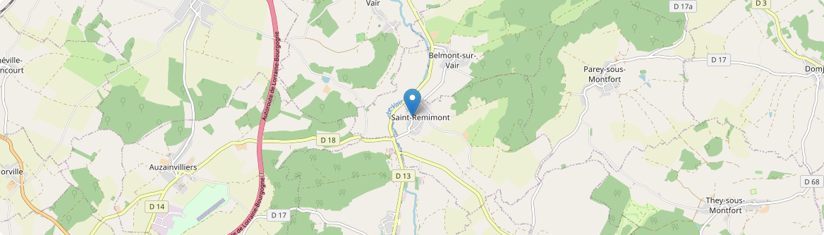 Saint-Remimont - Carte