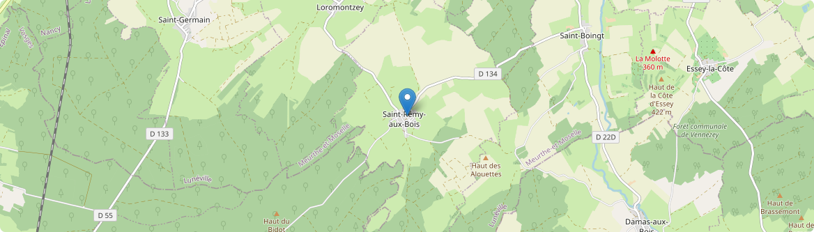 Saint-Rémy-aux-Bois - Carte