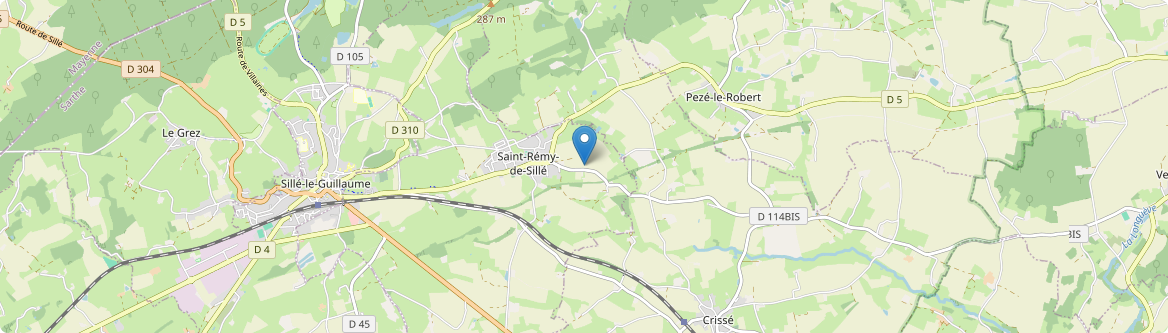 Saint-Rémy-de-Sillé - Carte