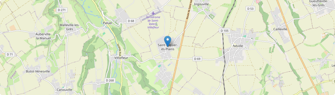 Saint-Riquier-ès-Plains - Carte