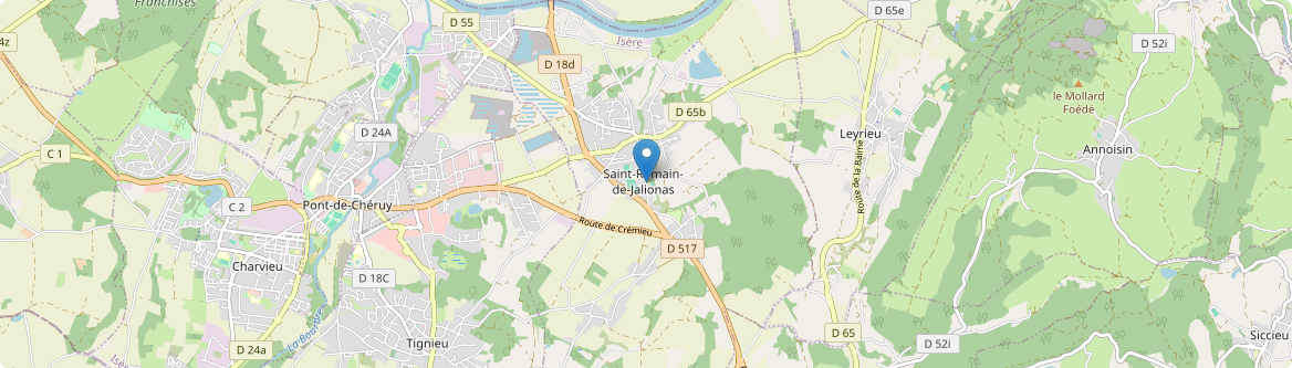 Saint-Romain-de-Jalionas - Carte