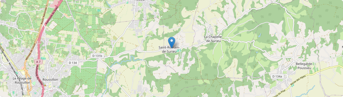 Saint-Romain-de-Surieu - Carte