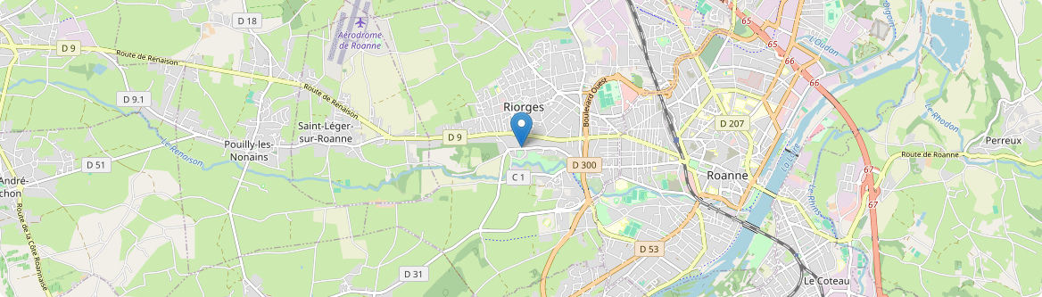 Saint-Romain-la-Motte - Carte