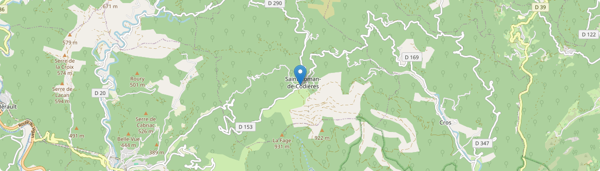 Saint-Roman-de-Codières - Carte