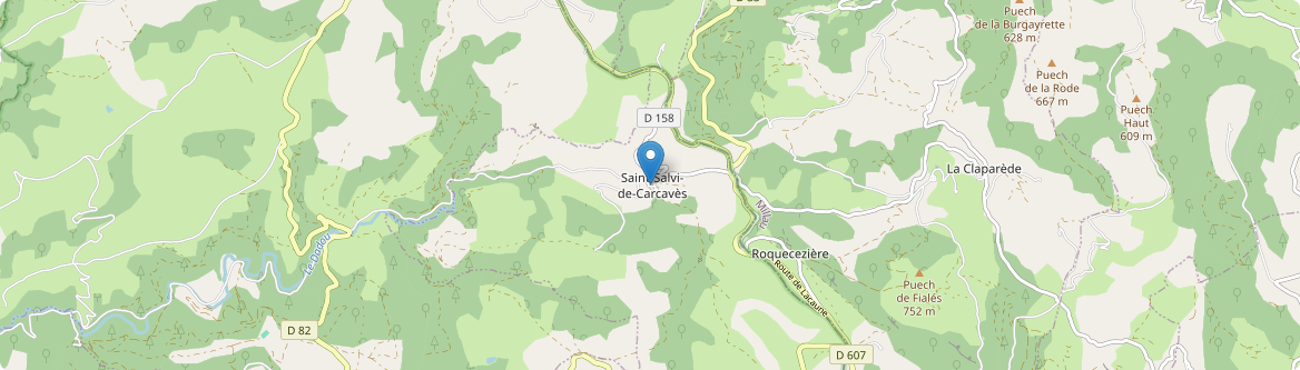 Saint-Salvi-de-Carcavès - Carte