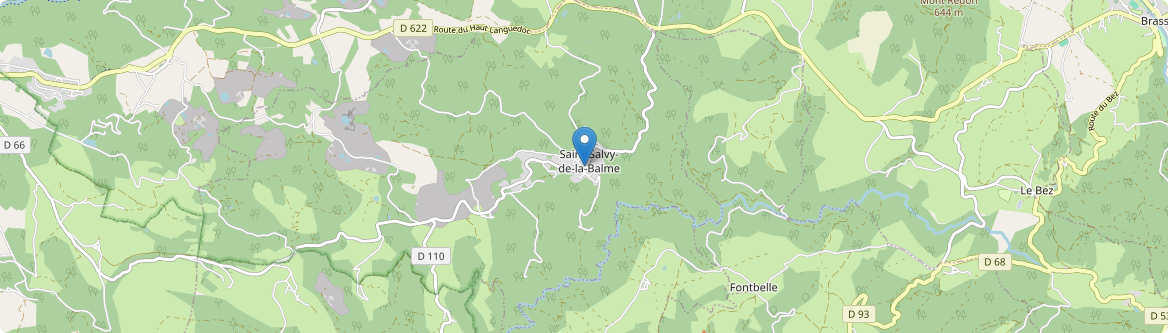 Saint-Salvy-de-la-Balme - Carte