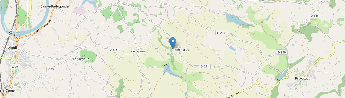 Saint-Salvy - Carte