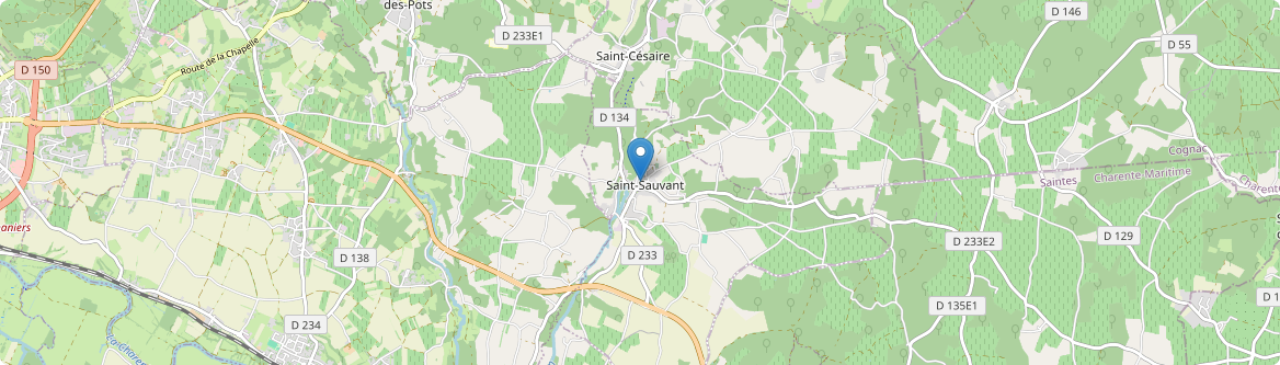 Saint-Sauvant - Carte