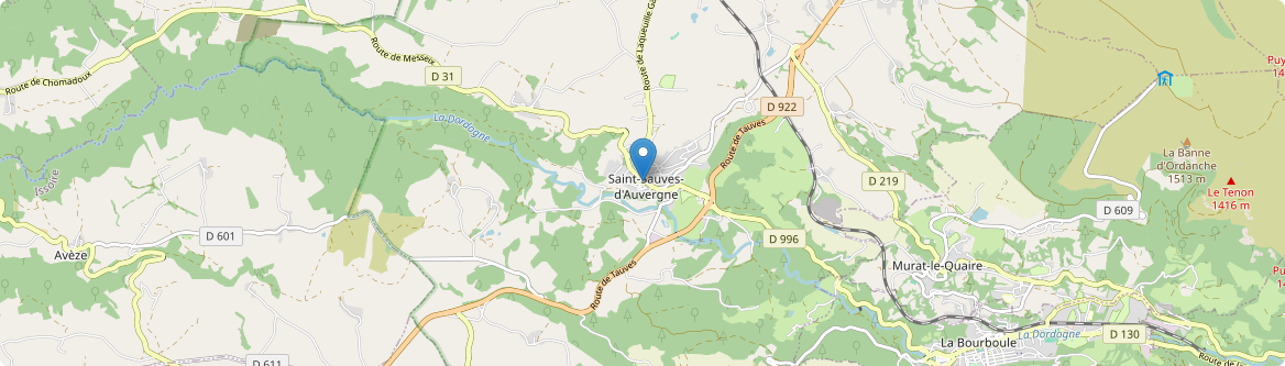 Saint-Sauves-d'Auvergne - Carte