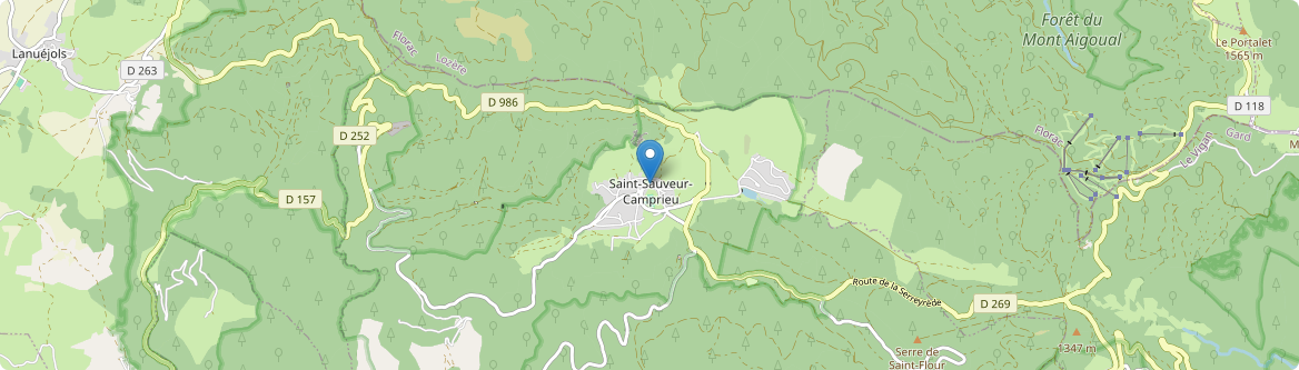 Saint-Sauveur-Camprieu - Carte