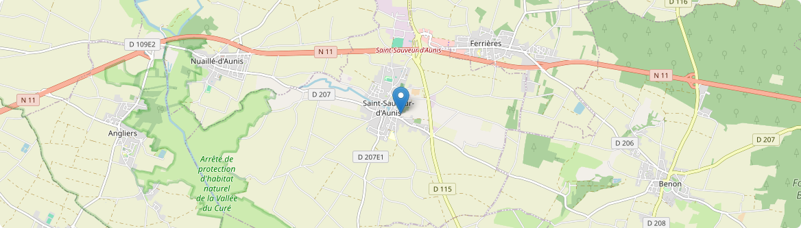 Saint-Sauveur-d'Aunis - Carte