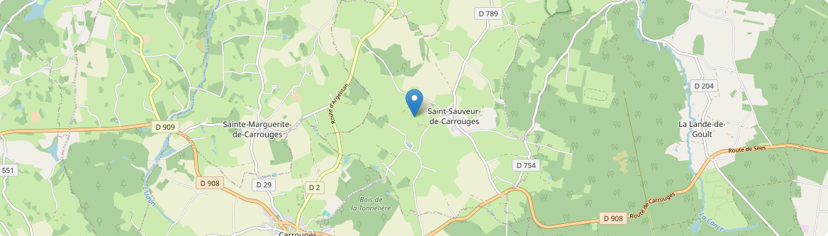 Saint-Sauveur-de-Carrouges - Carte