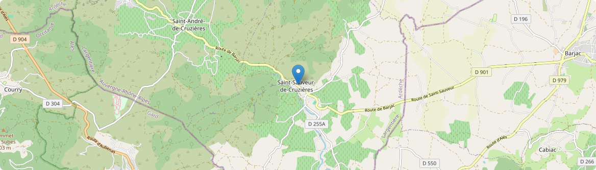 Saint-Sauveur-de-Cruzières - Carte