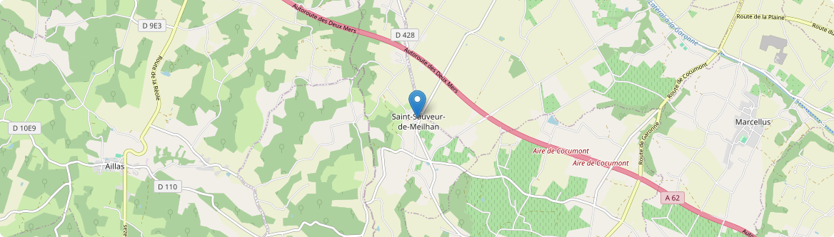 Saint-Sauveur-de-Meilhan - Carte