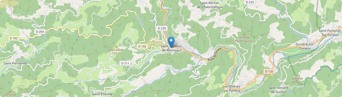 Saint-Sauveur-de-Montagut - Carte