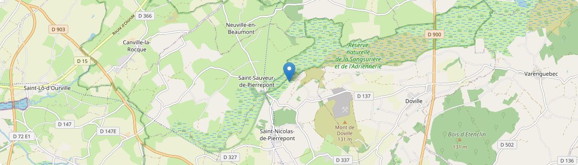 Saint-Sauveur-de-Pierrepont - Carte