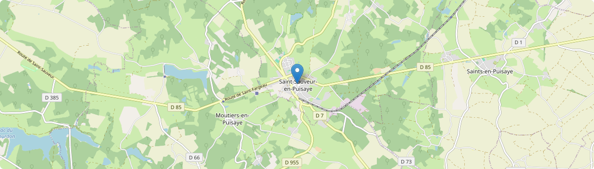 Saint-Sauveur-en-Puisaye - Carte