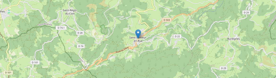 Saint-Sauveur-en-Rue - Carte
