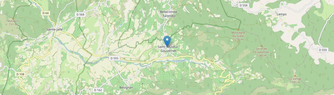 Saint-Sauveur-Gouvernet - Carte