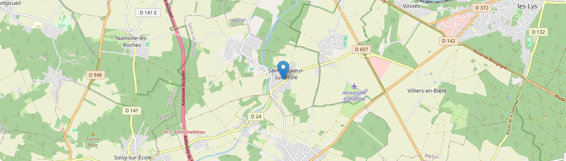 Saint-Sauveur-sur-École - Carte