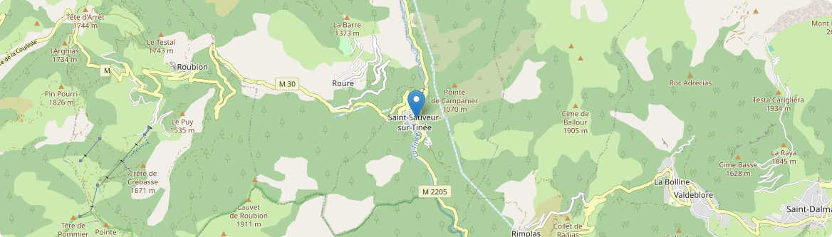 Saint-Sauveur-sur-Tinée - Carte