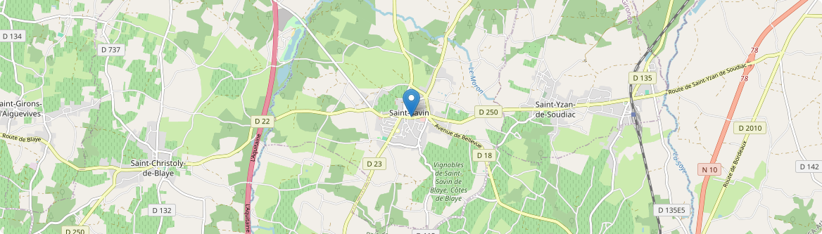 Saint-Savin - Carte