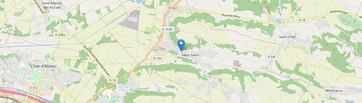 Saint-Savin - Carte