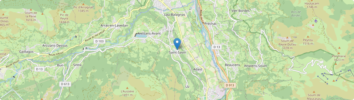 Saint-Savin - Carte