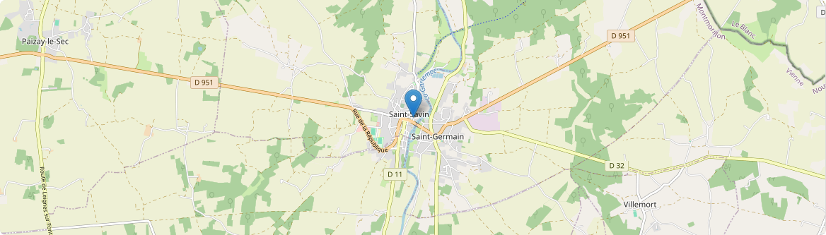 Saint-Savin - Carte
