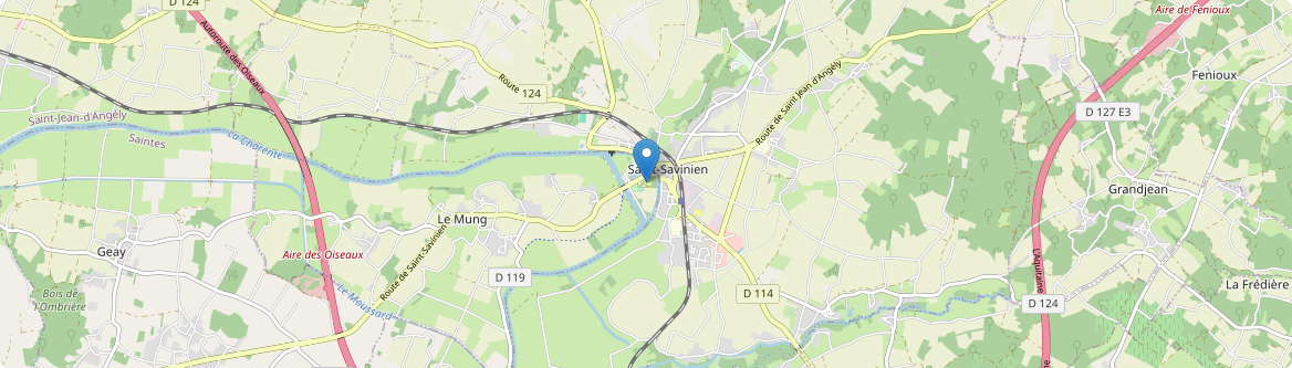 Saint-Savinien - Carte