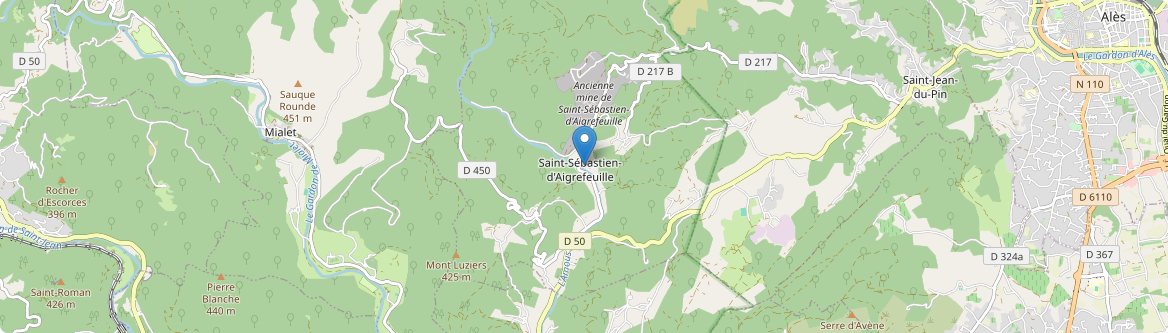 Saint-Sébastien-d'Aigrefeuille - Carte