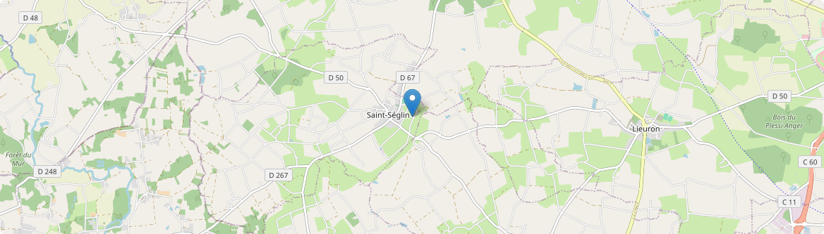 Saint-Séglin - Carte