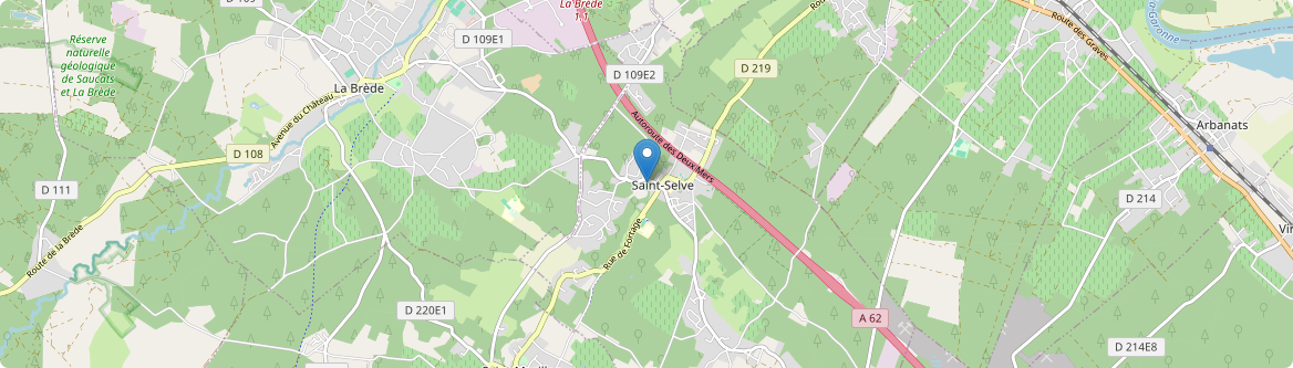 Saint-Selve - Carte