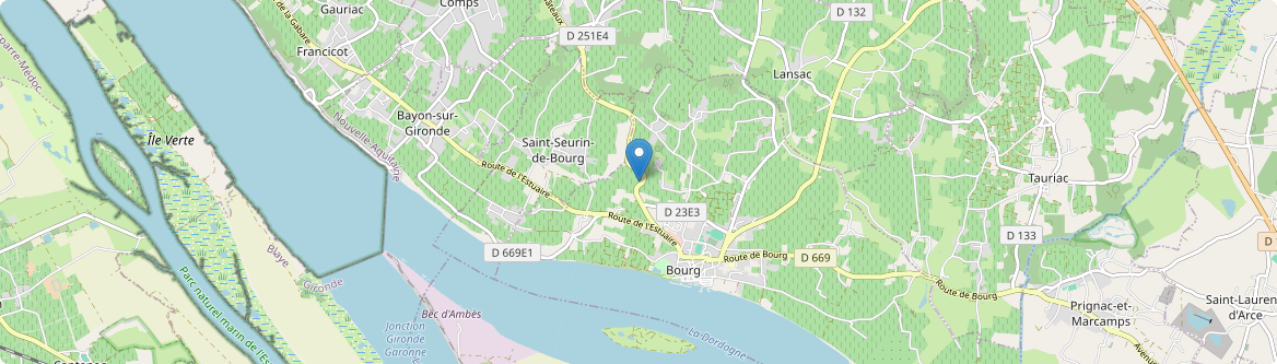 Saint-Seurin-de-Bourg - Carte