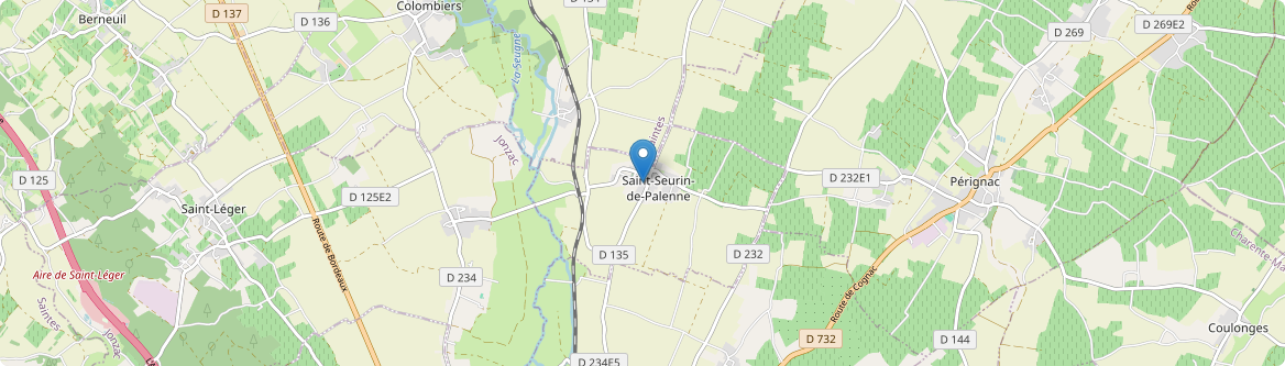 Saint-Seurin-de-Palenne - Carte