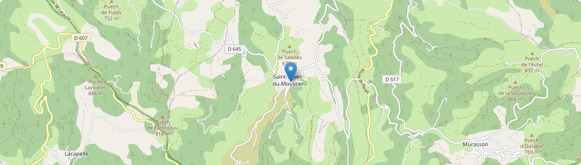 Saint-Sever-du-Moustier - Carte