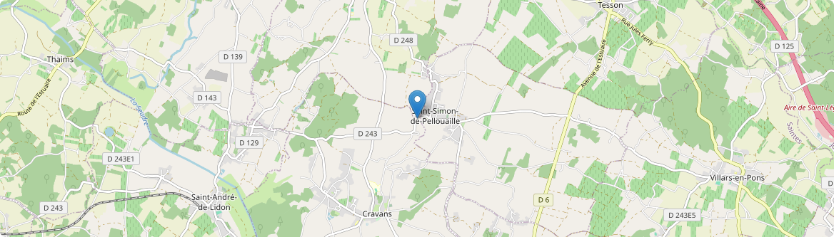 Saint-Simon-de-Pellouaille - Carte
