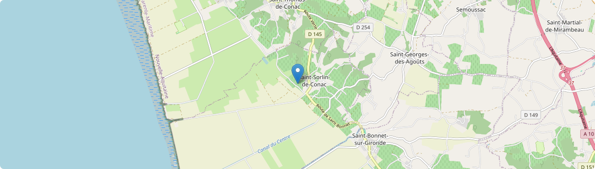 Saint-Sorlin-de-Conac - Carte
