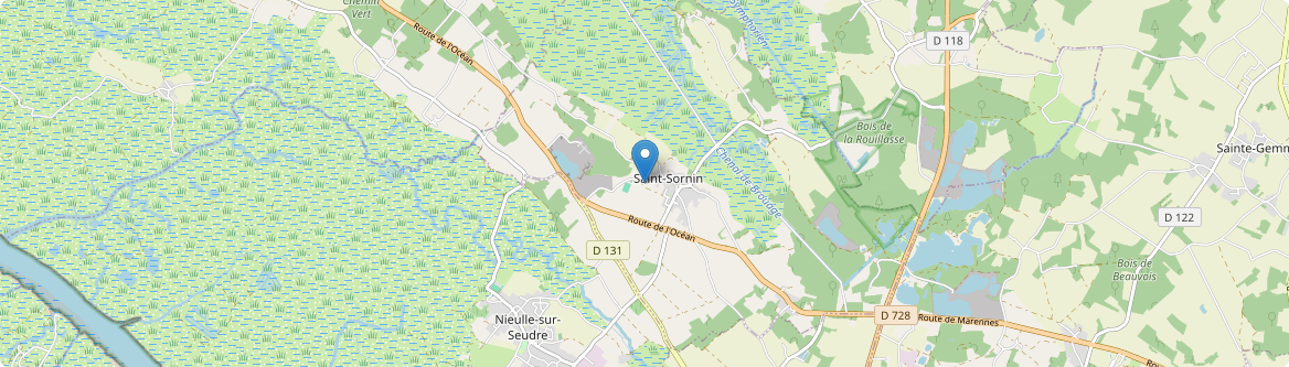 Saint-Sornin - Carte