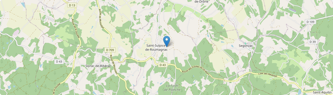 Saint-Sulpice-de-Roumagnac - Carte