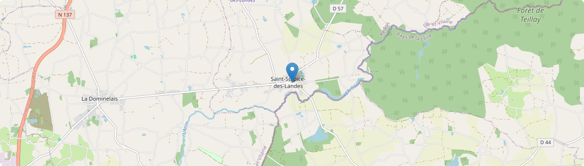 Saint-Sulpice-des-Landes - Carte