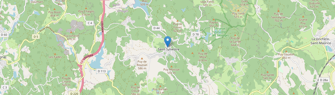 Saint-Sylvestre - Carte