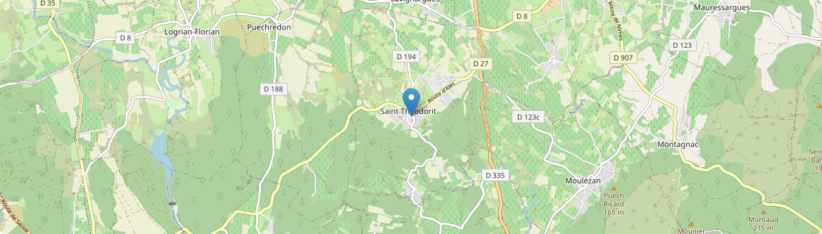 Saint-Théodorit - Carte
