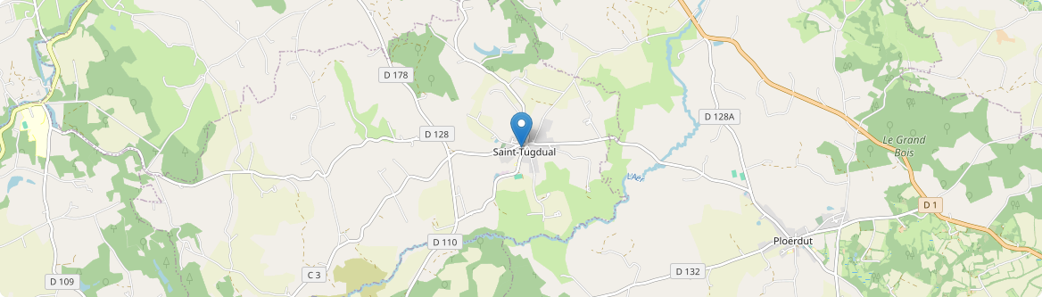 Saint-Tugdual - Carte