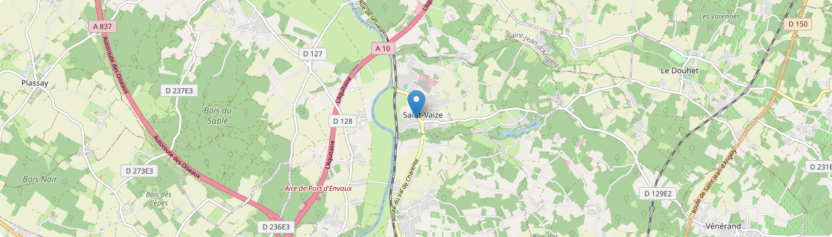 Saint-Vaize - Carte