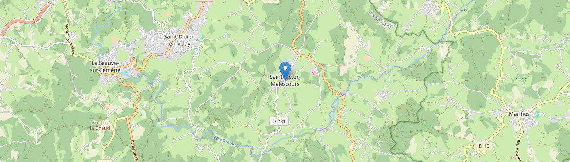Saint-Victor-Malescours - Carte